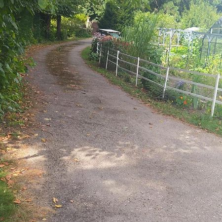 Logement Independant Attenant A Une Maison Dans Grand Jardin Retournac Exteriör bild